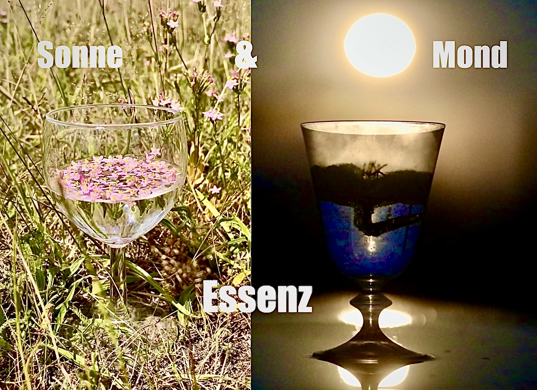 Blütenessenzen im Einklang mit der Natur