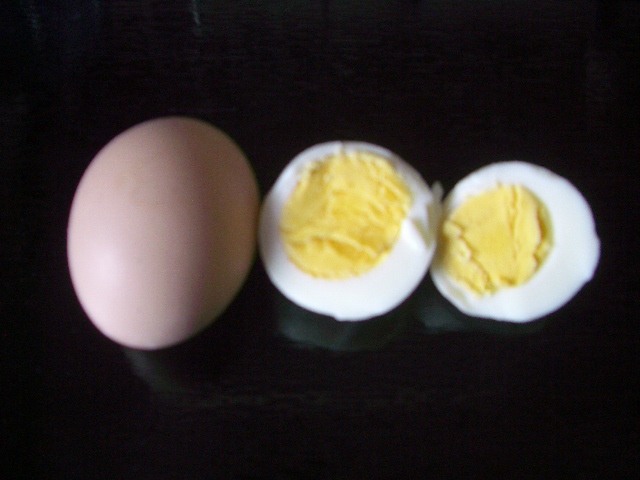 焼き卵