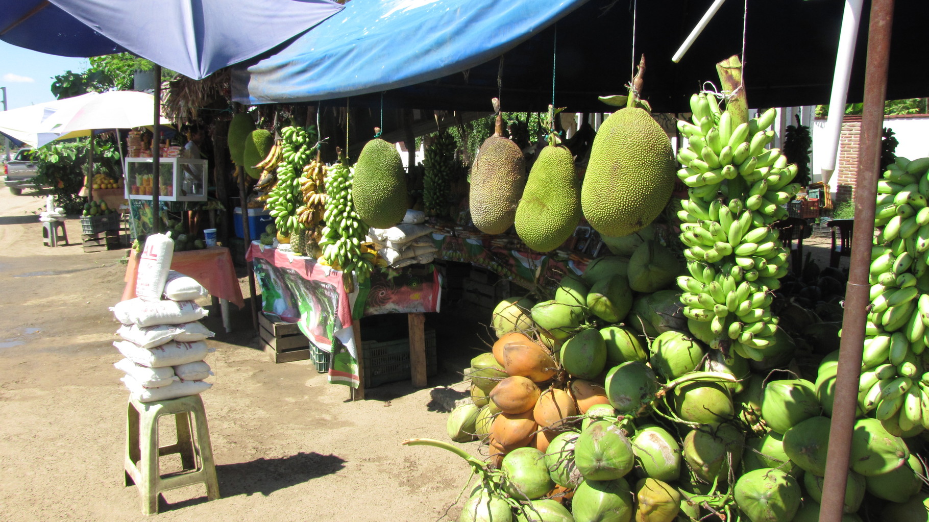 Les commerces de fruits sur les bords de la route.