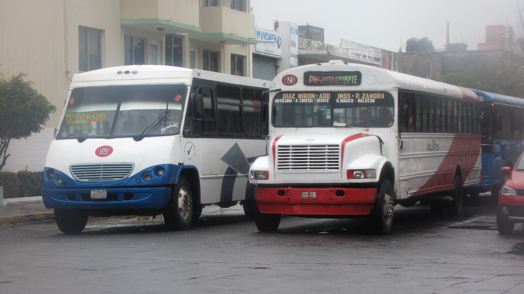 Des bus à Veracruz pour circuler en centre ville.