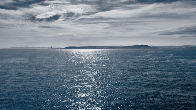 Bild von Thomas Wolter auf Pixabay.