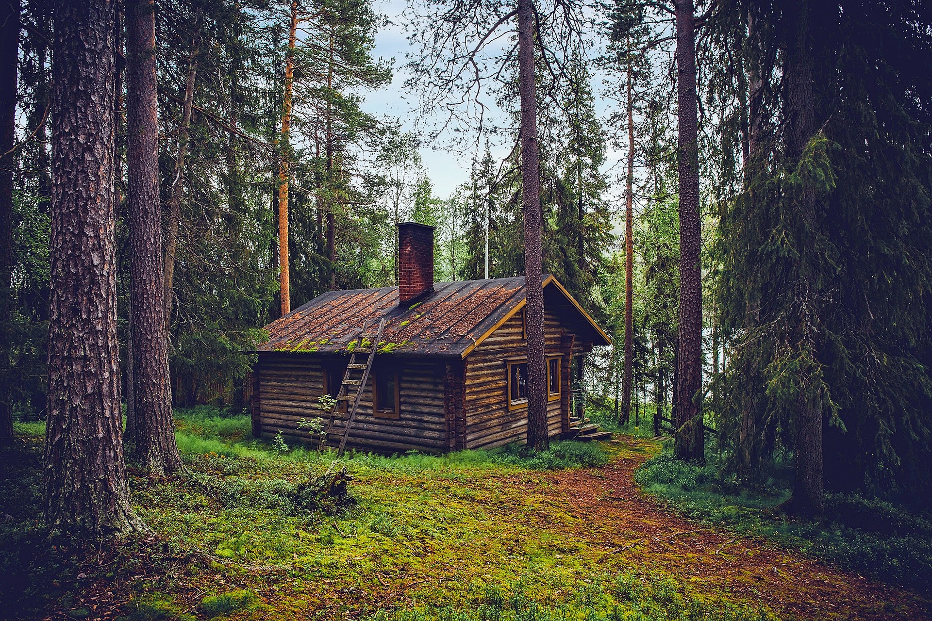 02. Das Haus am Wald