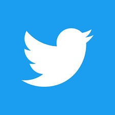 Der blaue Vogel, der einst das Markenzeichen der Social-Media-Plattform Twitter, jetzt X, war.