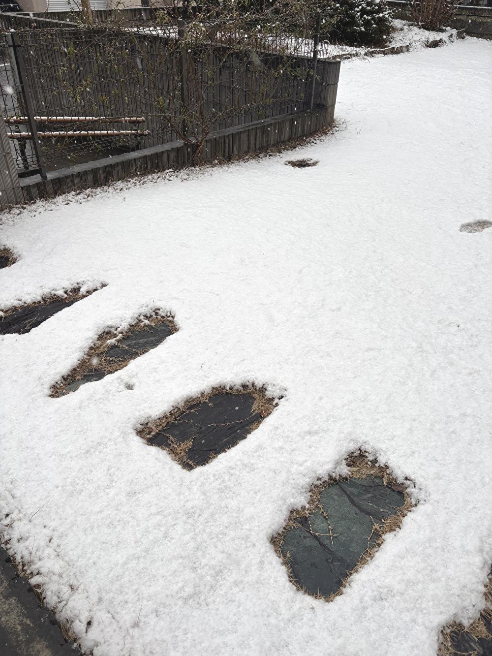 関東で久しぶりの雪。故郷・北海道を思い出す日