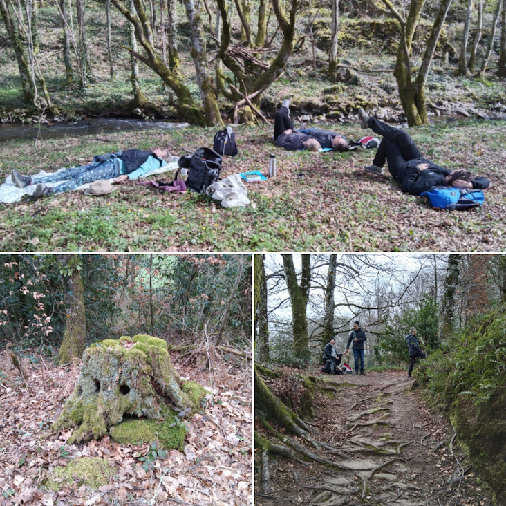 Randonnée  Jeûne et Randonnée Nature Eveil et Sens Lot