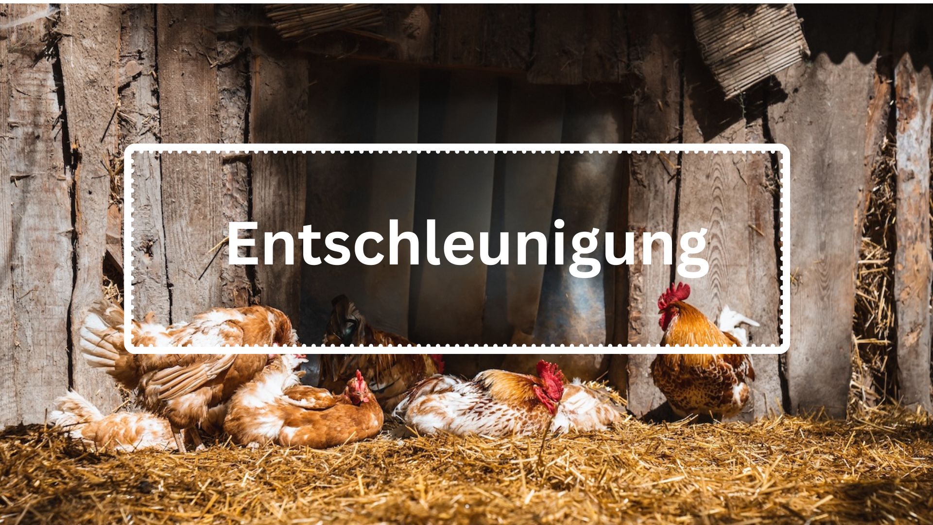 Das bewusste Wahrnehmen steht im Vordergrund. Tiere die sich vertrauensvoll nähern oder Pflanzen an denen man schon oft vorbeigegangen ist ohne sie näher zu beachten. Eine willkommene Abwechslung zum Arbeitsalltag. 