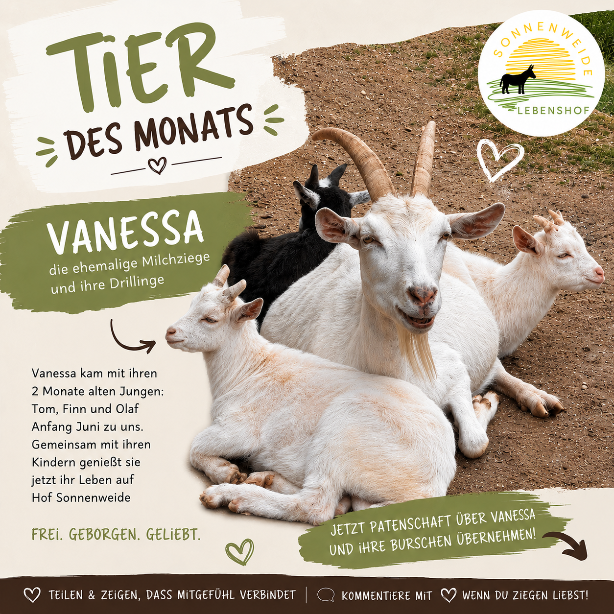 Tier(e) des Monats
