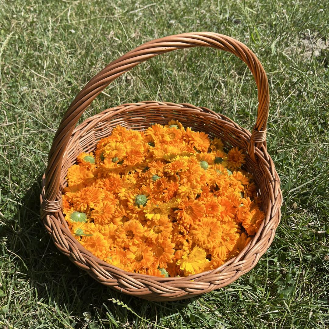 Wir haben den Sommer eingefangen – und er duftet nach Blüten & Kräutern