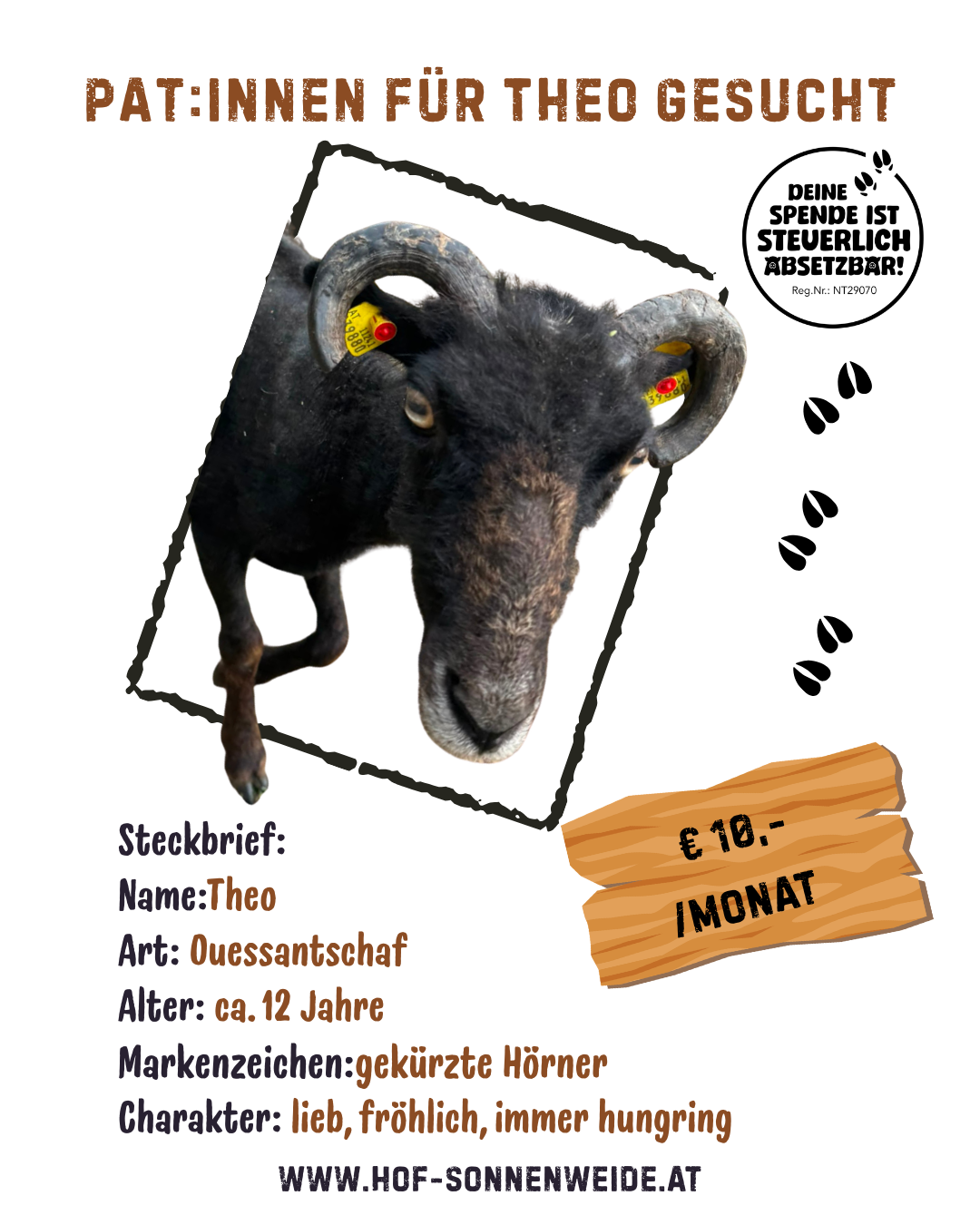 Pat:innen für Neuzugang Theo gesucht