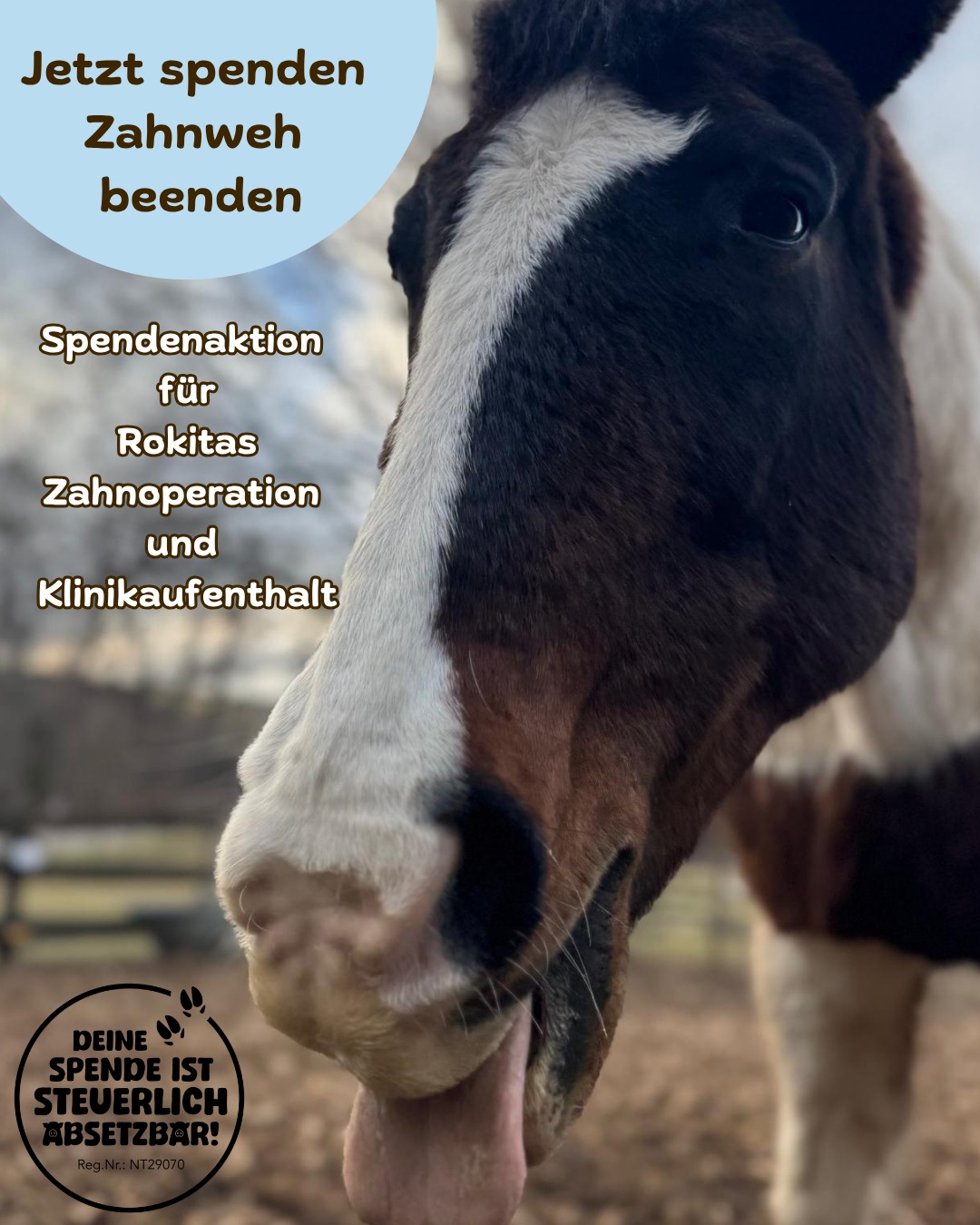 Jetzt spenden- Zahnweh beenden