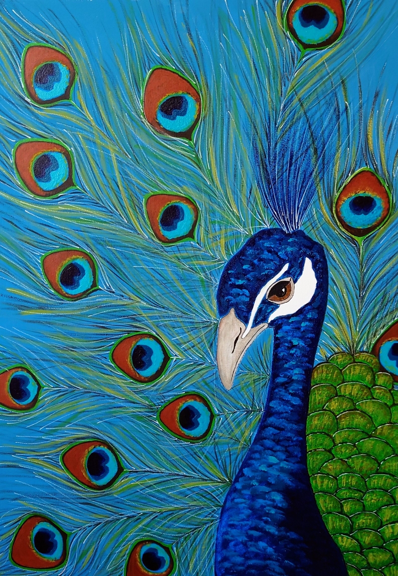 "Proud peacock", 50x70 cm, canvas, acrylic