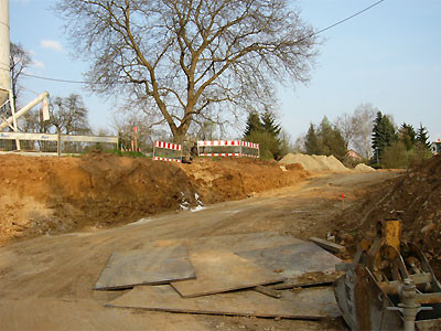 2006: Straße ins Baugebiet Rosselen. Ein einziger Baum blieb stehen. Foto: C.Reimers