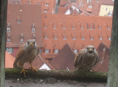 Foto: W. Barth (BUND)
