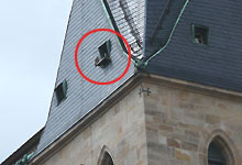 Stadtkirche mit Nistkasten für Wanderfalken Foto: C.Reimers