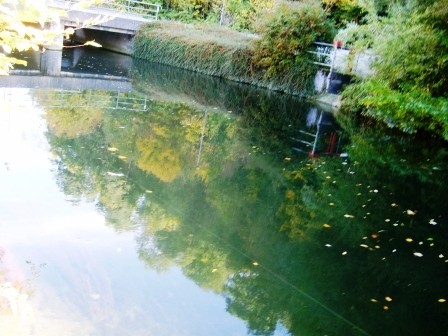 Die Brücke. knapp oberhalb beginnt die Strecke