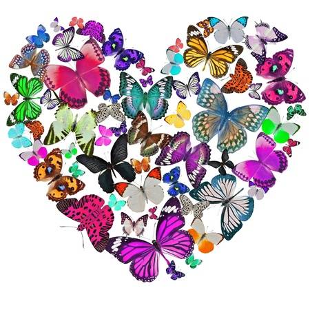 Experiencias del Corazón