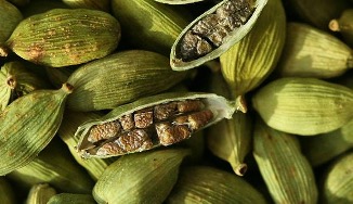 Kardamom – Die Königin der Gewürze