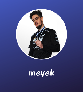 BFV BF5 meyek