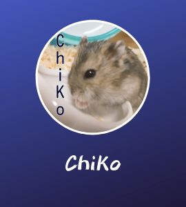 BFV BF5 chiko