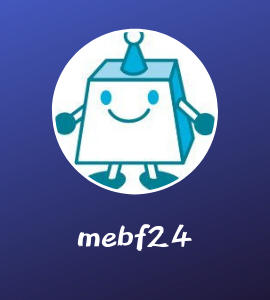 BFV BF5 mebf24