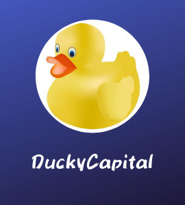 BFV BF5 duckycapital