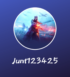 junt123425 BFV BF5