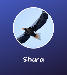 BFV BF5 shura