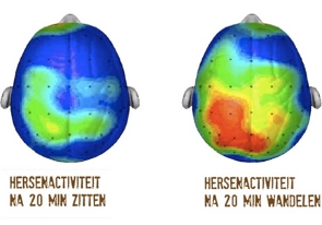 Hersenactiviteit na 20 min bewegen - effect bewegend leren op de hersenen