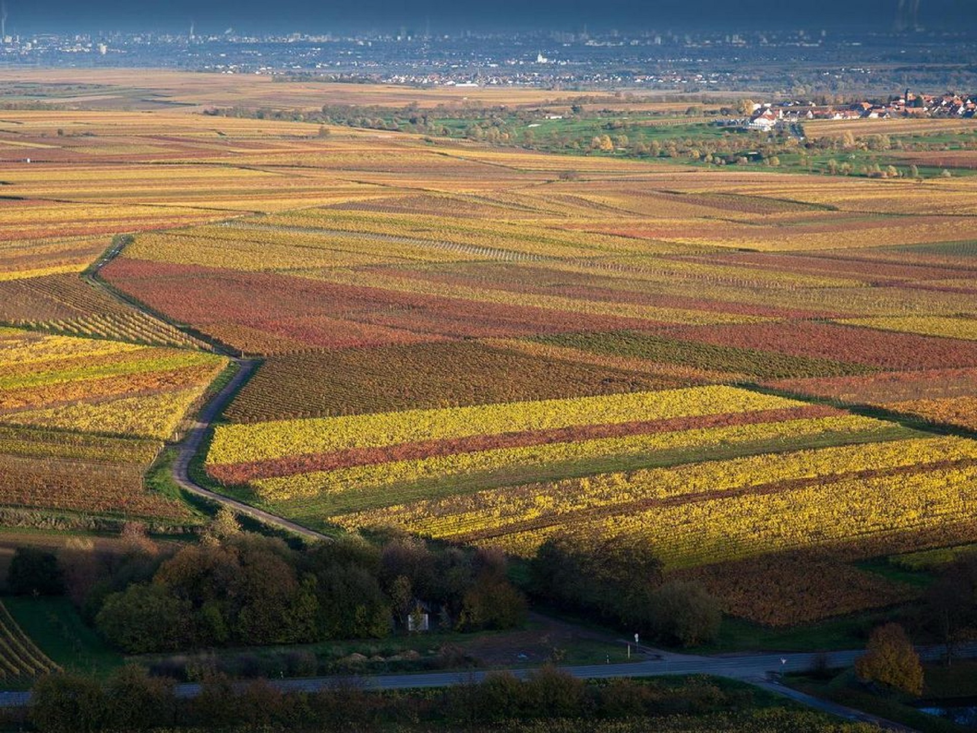 Blick von Battenberg in die Rheinebene