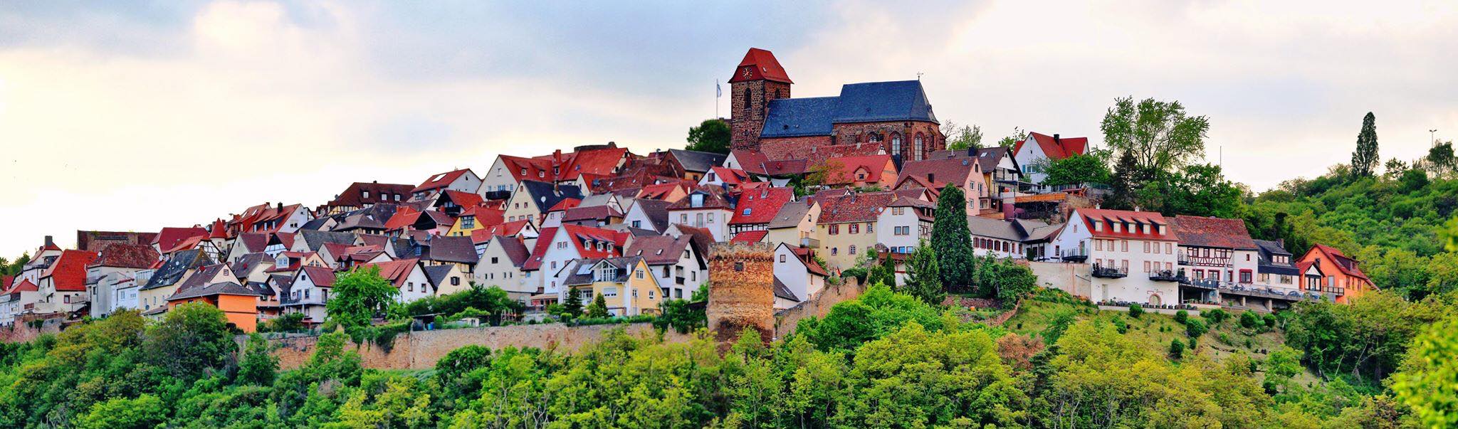Burgdorf Neuleiningen
