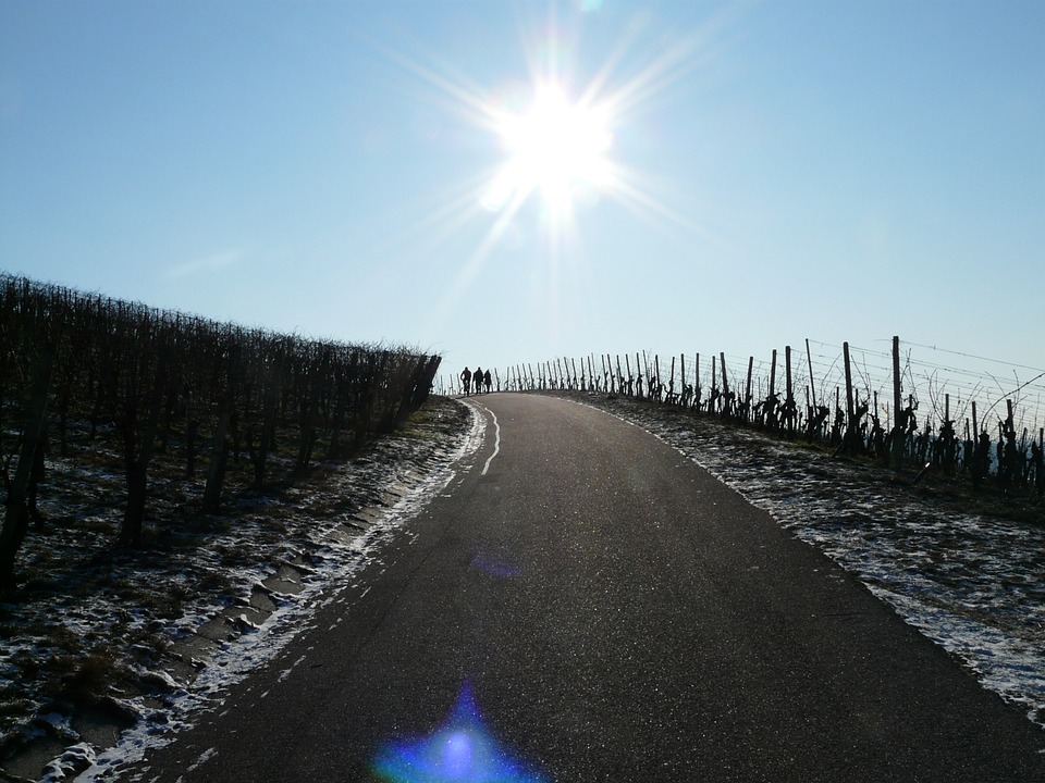 Weinberge auch im Winter schön