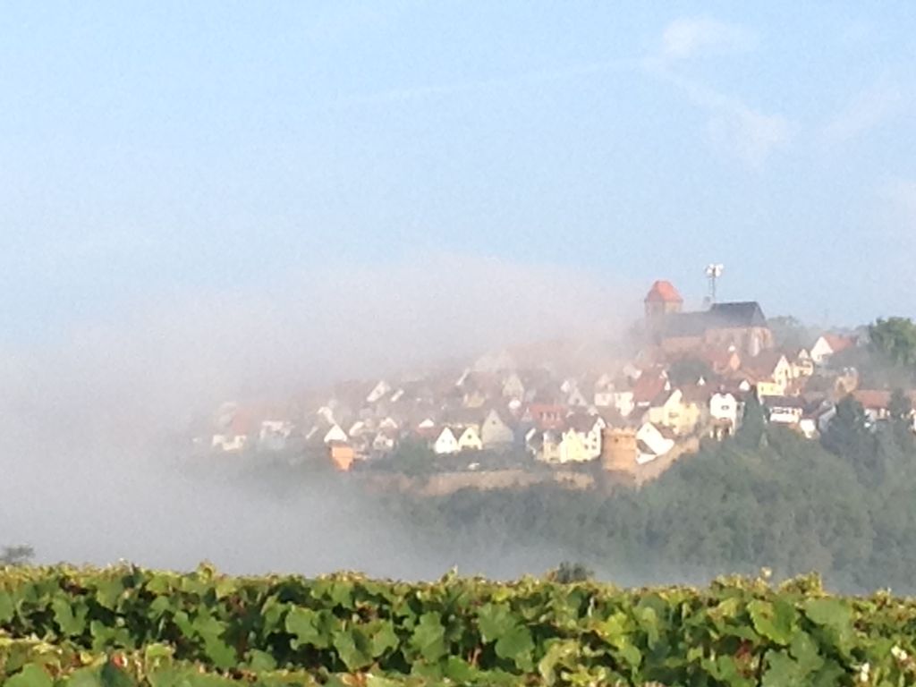 Blick auf Neuleiningen