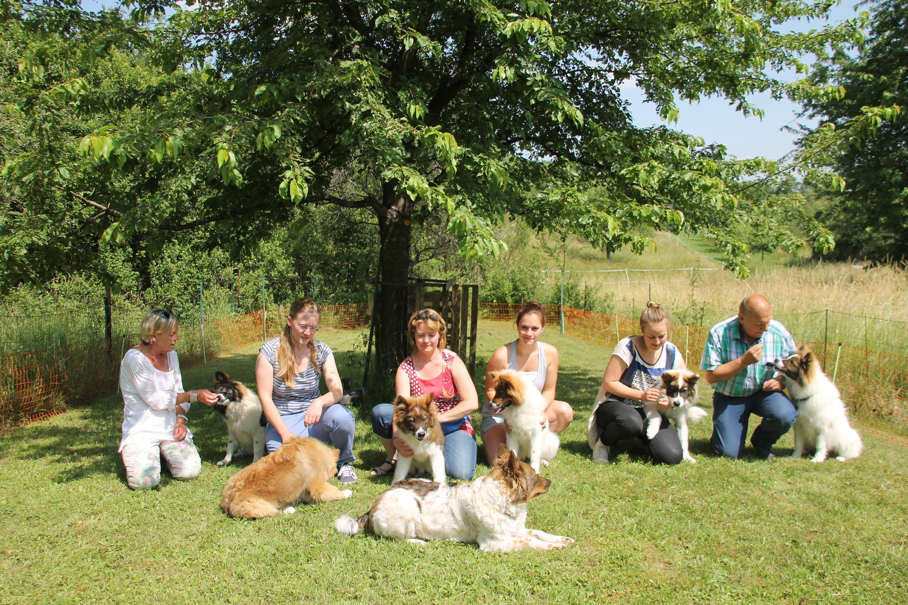von li, Cadinka, Carinjo, Cashira, Cailin, Culito und Chantico