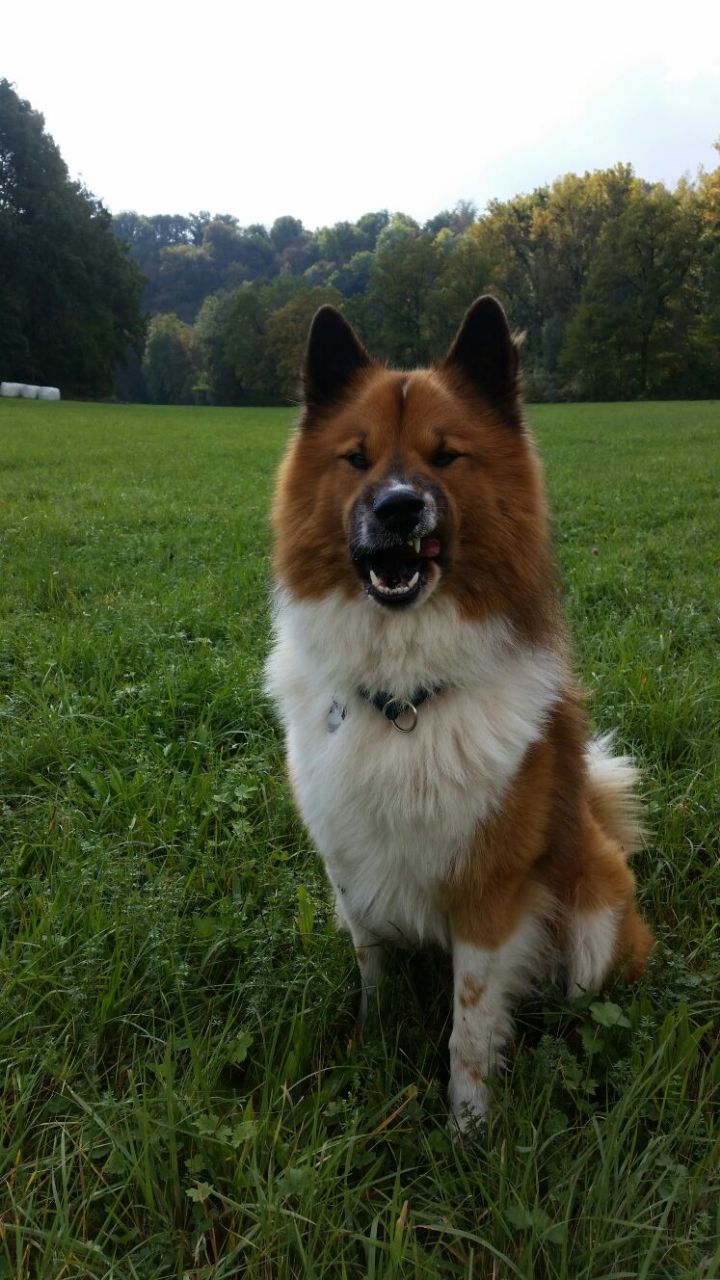 Benito