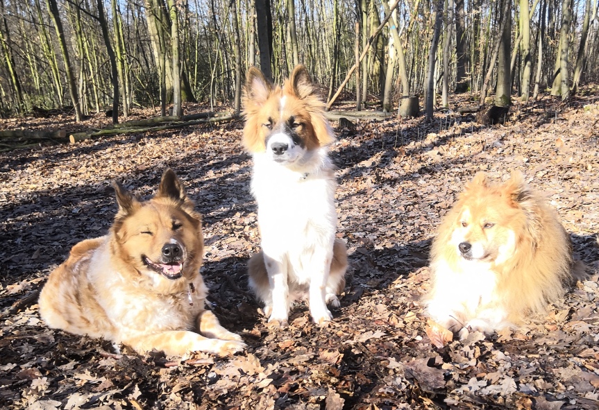 Waldspaziergang mit Oma und Tante
