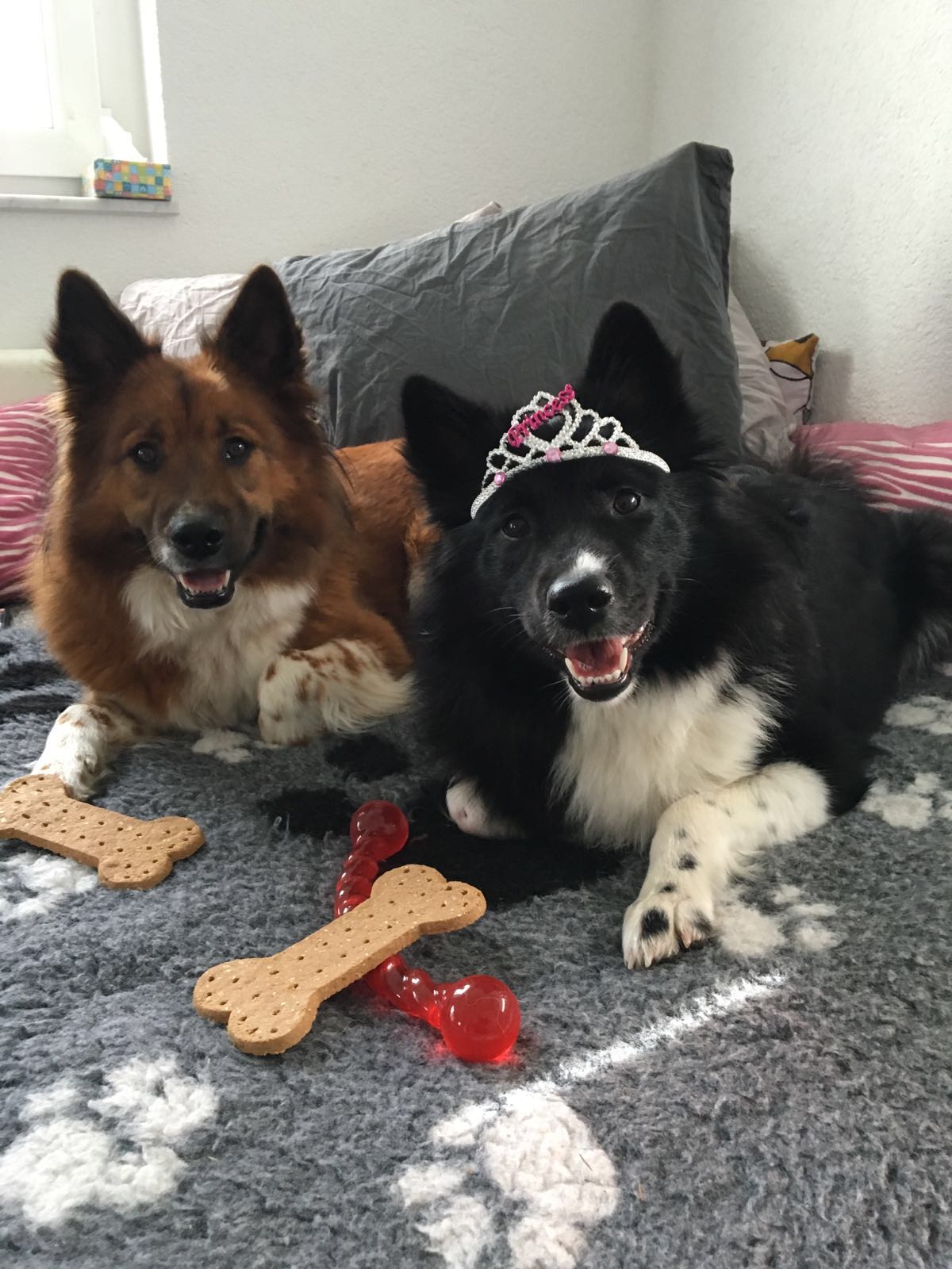 Baduni und Delisha feiern Geburtstag