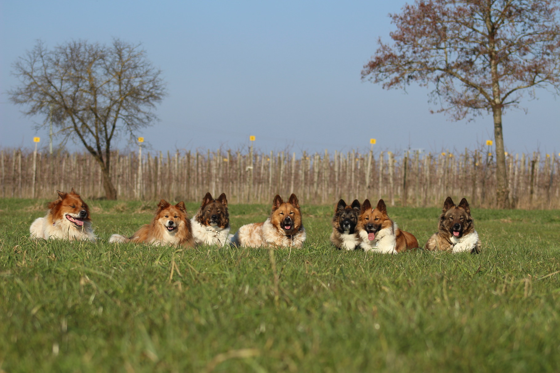 Anjuk, Inka, Ashanti, Adina, Amy, Barani und Alina