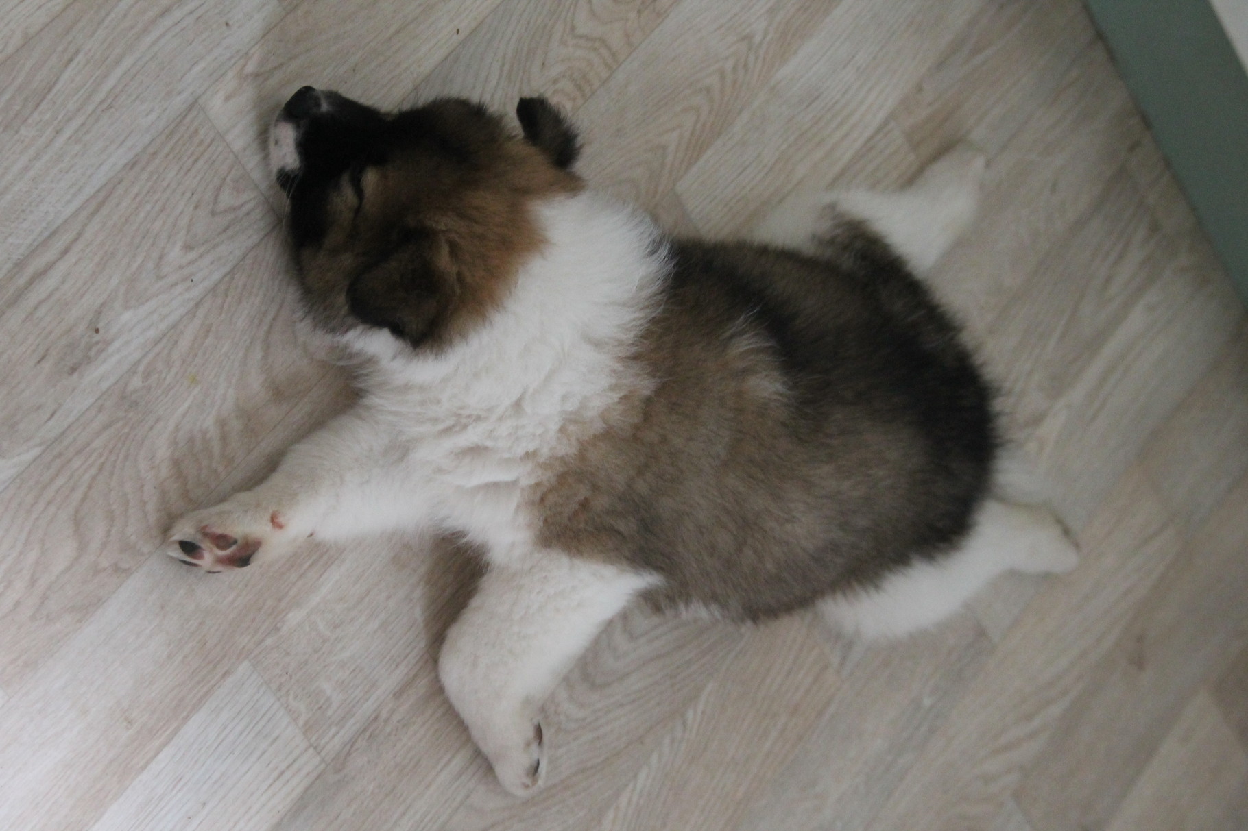 ob das wohl bequem ist??