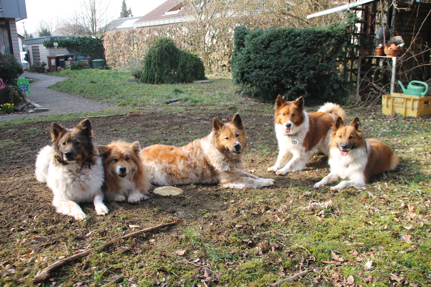 auch hier ein Gruppenfoto