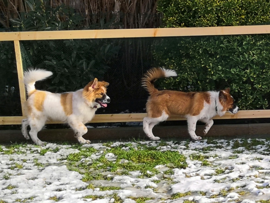 Greta hat Bruder Geliko besucht