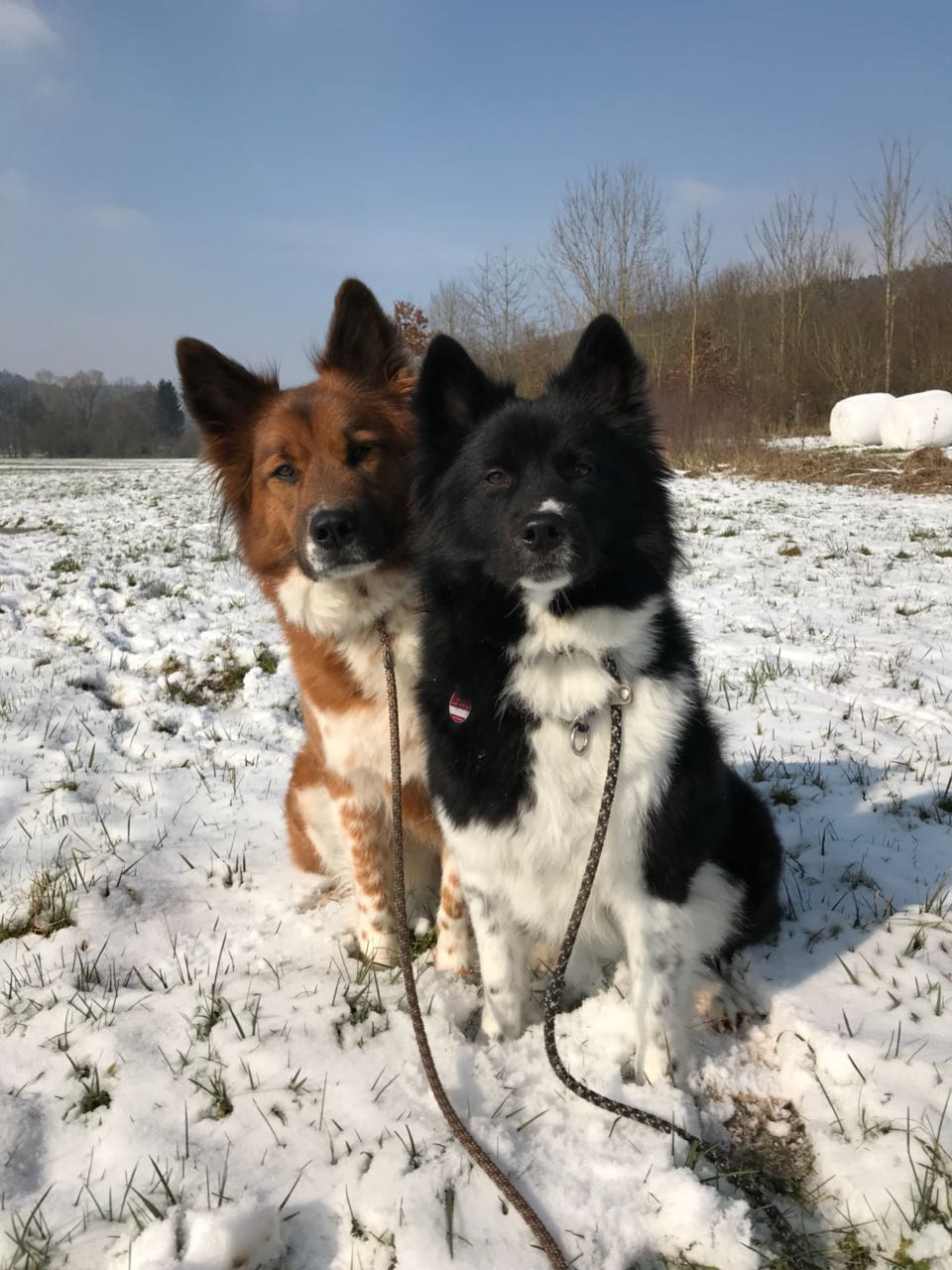 Baduni und Delisha
