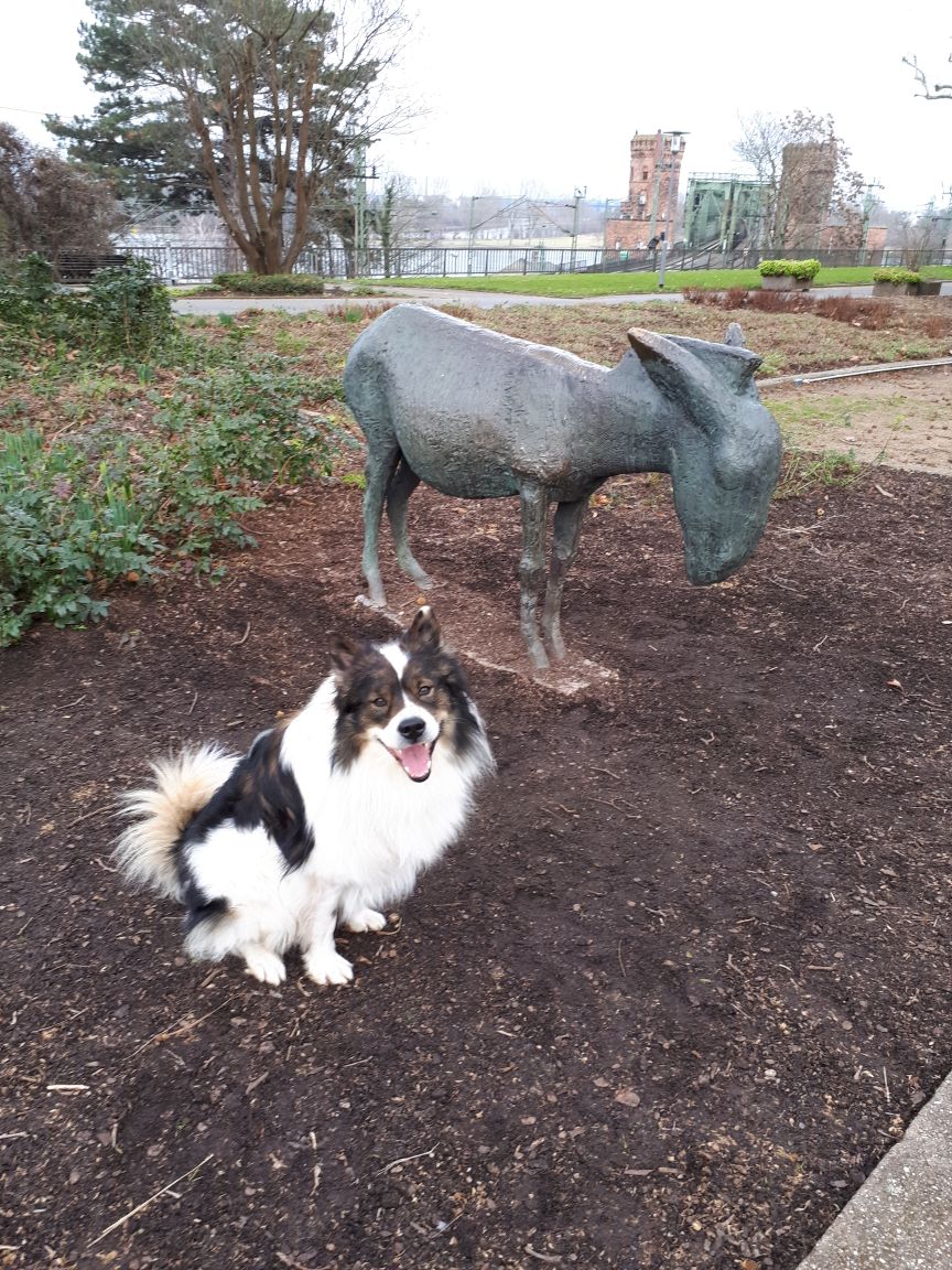 Culito jetzt Wilbur