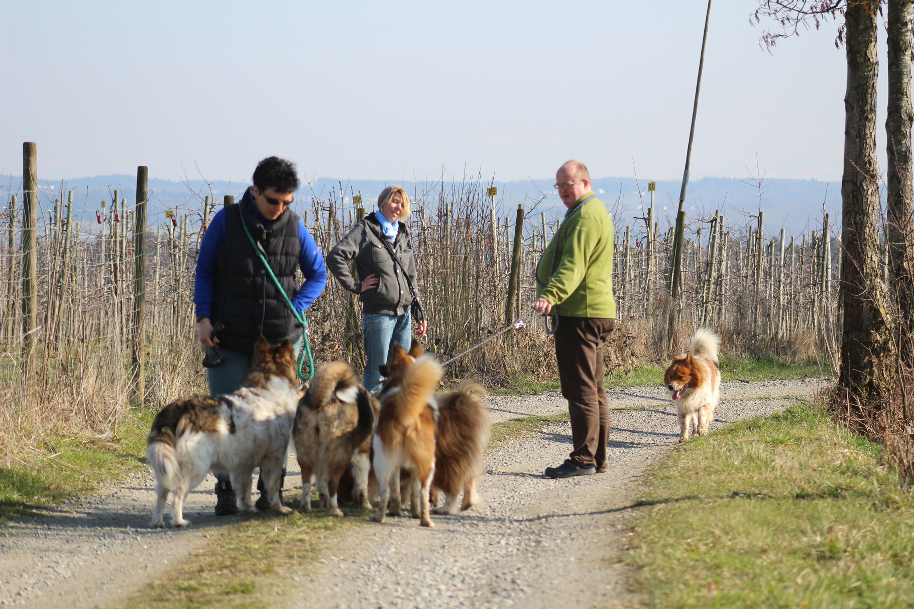 wir 4 Menschen machen uns mit 8 Elo auf zum Spaziergang