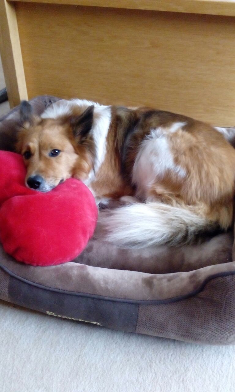 Binka
