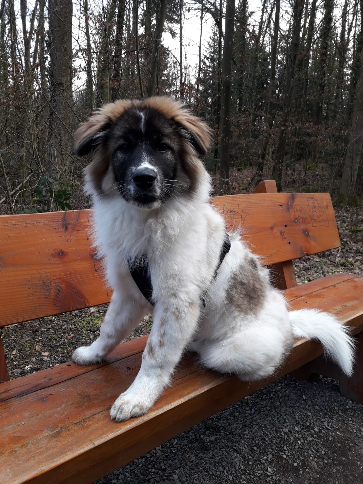 und... ist der Blick cool?