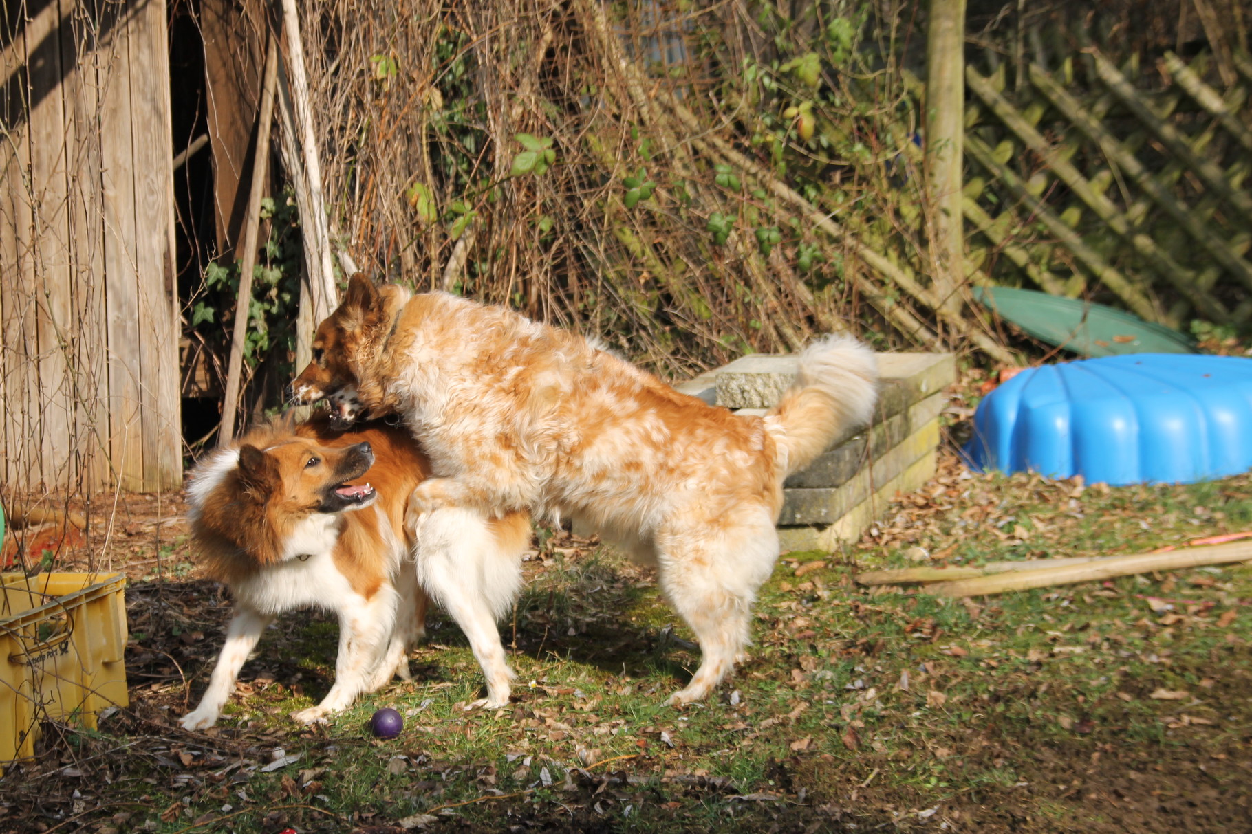 und toben