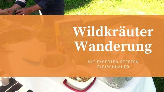 Wildkräuterwanderung in Freising