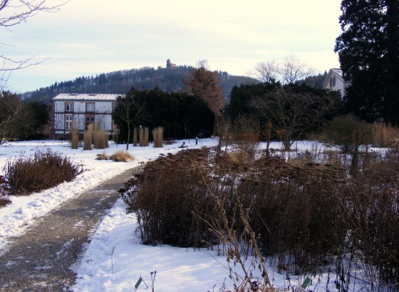 Weinheimer Hermannshof