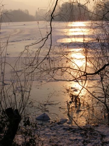Bruchsee bei Heppenheim