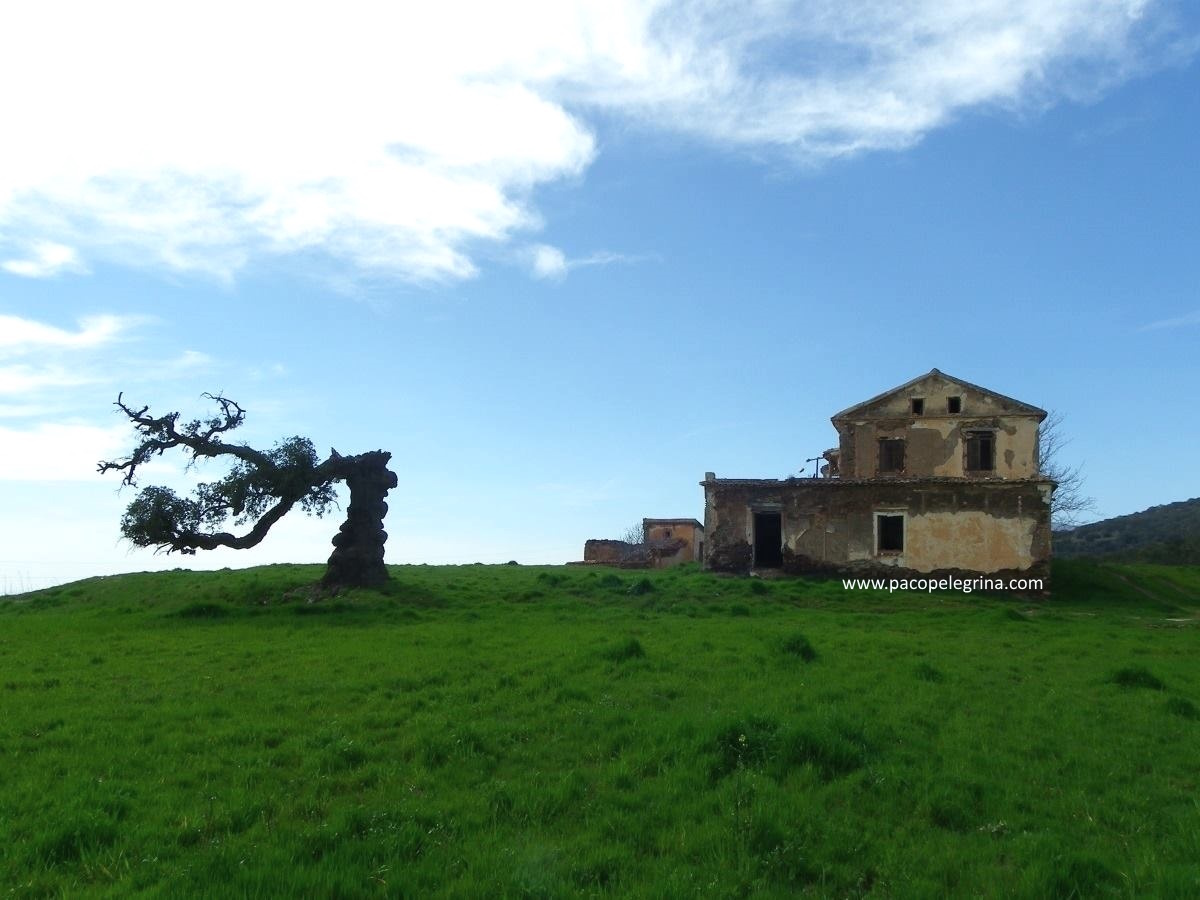 HAZA DEL LINO - PUERTO DE MONTAÑA